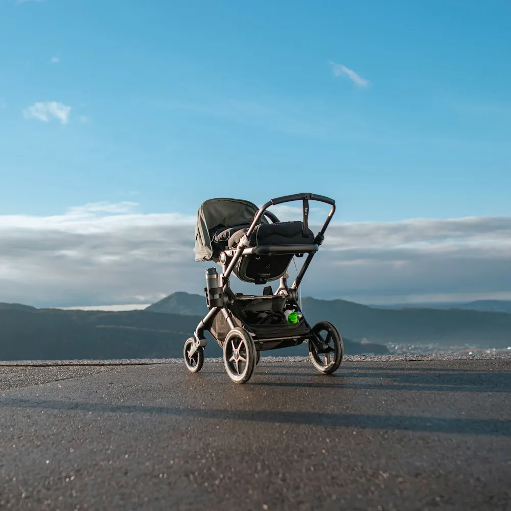Everyday Stroller